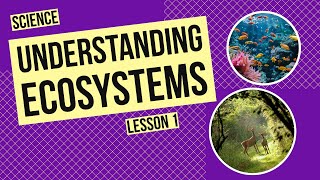 Understanding Ecosystems A Network of Life [upl. by Eiten]