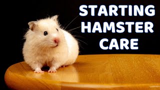 Hamster Care 101 A Beginners Guide  Pet Adventure TV [upl. by Tertia]