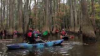 Congaree National Park 111924 [upl. by Oknuj]