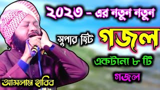 ২০২৩এর নতুন নতুন সুপারহিট গজল  Aslam Habib  আসলাম হাবিব  ২৪ পরগনা 5 Jan 2023 [upl. by Legin953]