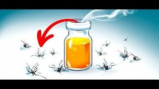 La increíble solución para eliminar moscas y mosquitos [upl. by Aidyl]