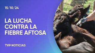 La importancia de la campaña de vacunación contra la fiebre aftosa [upl. by Eceinal660]