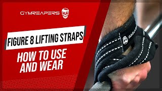 How To Use And Wear Figure 8 Lifting Straps  Roc Pilon [upl. by Dyke]