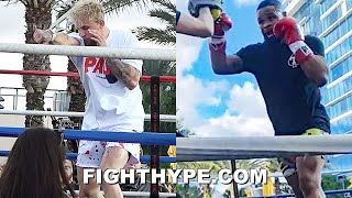 JAKE PAUL VS TYRON WOODLEY II SIDEBYSIDE REMATCH TRAINING IMPROVEMENTS COMPARISON [upl. by Nosdivad]