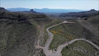 Sitgreaves Pass Route 66 near Oatman Arizona 2023 Super Bloom [upl. by Sunil394]