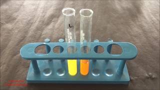 Phytochemical Test for Flavonoid  Flavonoid Identification Test  Flavonoid Test  ENGLISH [upl. by Eniarrol]