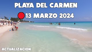 PLAYA DEL CARMEN HOY🔴13 MARZO 2024  PLAYA MAMITAS SIN SARGAZO [upl. by Tnias]