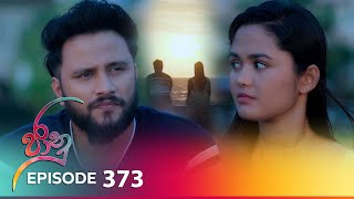 Jaanu  Episode 373  20240730  ITN [upl. by Illom793]