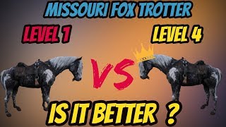 RDR 2 Missouri Fox Trotter LVL 1 VS LVL 4 Is It Really Better [upl. by Harias]