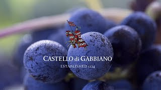 Castello di Gabbiano wine poetry [upl. by Anglo]