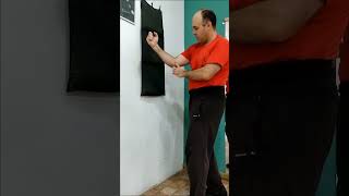 Wing Chun tip n°4  trabajo de puños en saco de pared claseskungfu kungfu martialarts wingchun [upl. by Kcid]