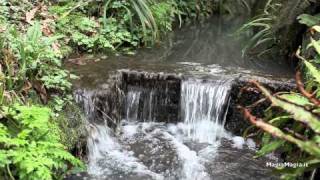 Relaxing sound of water stream sleep sound [upl. by Merchant]