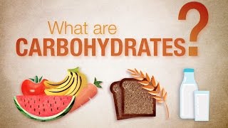 What are carbohydrates  Herbalife Nutrition [upl. by Moulton180]