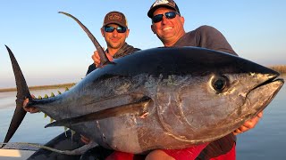 Massive Yellowfin Tuna Vs Big Blackfin Tuna Catch Clean Cook blind Taste test [upl. by Layney]