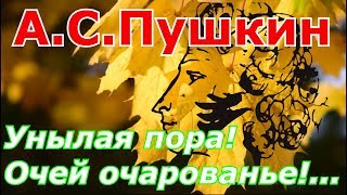 Стихи Унылая пора Очей очарованье АСПушкин Слушать и смотреть видеообраз APushkin [upl. by Ardnalahs953]