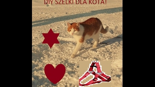 DIY szelki dla kota 😺 [upl. by Alyakcm924]