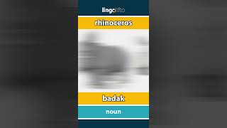 🇬🇧🇮🇩 rhinoceros  badak  learn English  ayo belajar bahasa Inggris [upl. by Iad309]