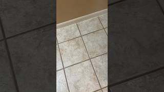 My grout is tan and clean I promise 😂 deepclean groutcleaning cleaning cleantok cleaningvideo [upl. by Lanrev]