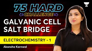 Electrochemistry  Part 1  Galvanic Cell  Salt Bridge  Akansha [upl. by Mailli]