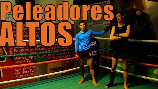 Técnicas contra PERSONAS más ALTAS que tú l Kick Boxing o MUAY THAI [upl. by Edyaw508]