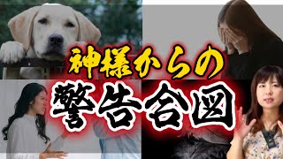 【要注意】こんな出来事は、神様からの超重要な警告かもしれません。￼次のステージに進ための重要なサインとは！ [upl. by Ahab240]