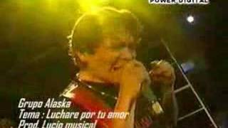 Cumbia Sureña  Grupo Alaska  Luchare por tu amor [upl. by Isherwood]