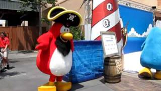 Club Penguin Characters Rockhopper and Bambadee Meet amp Greet Disneys Hollywood Studios [upl. by Raf]