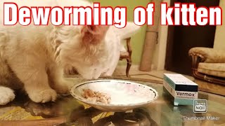 DEWORMING OF KITTEN USING VERMOX 100MGMEBENDAZOLE [upl. by Aynnek]