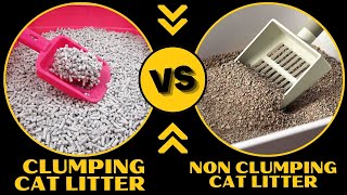 Clumping vs Non Clumping Cat Litter Whats the Difference [upl. by Leinahtam410]