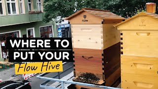 Where to put your bee hive  TheBeekeeperorg [upl. by Linkoski]