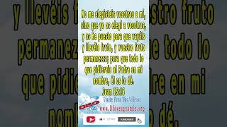 3 Versículos Hermosos De La Biblia Vers 4 new shortsvideos [upl. by Nicholl291]