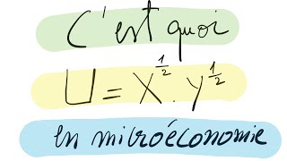 La fonction d’utilité en microéconomie [upl. by Jacky]