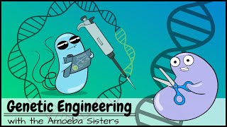 Genetic Engineering [upl. by Cristionna800]