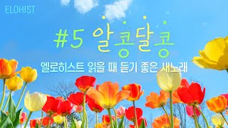 엘로히스트 읽을 때 듣기 좋은 새노래 5 [upl. by Natalina]