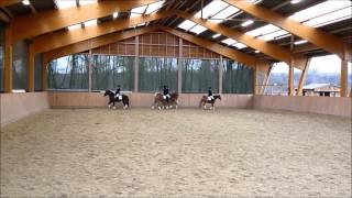 Quadrille Westfälischer Haflinger Sportverein [upl. by Abeh938]