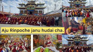 Aju chai Rinpoche janu Hundai chadorjeetamangvlog7356 [upl. by Nnahteb]