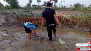 ចាំត្រីតាមថ្លុកវាលស្រែ Catch fish in the field pool [upl. by Anohs]