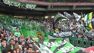 SPORTING CLUBE DE PORTUGAL CHANTS PARTE 3  JUVE LEOTORCIDADUXXIBRIGADA LYCRICSLETRA [upl. by Pepe424]