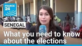 Senegal heads to polls as new leaders eye parliamentary win • FRANCE 24 English [upl. by Kcyrred407]