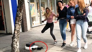 Giant Spider Prank People Freaking out [upl. by Mozes]