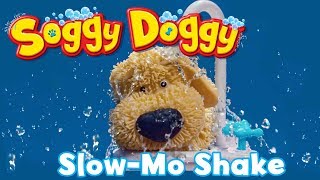 Soggy Doggy  Soggy Doggies Shake In Slow Mo [upl. by Eilsil574]