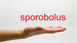 How to Pronounce sporobolus  American English [upl. by Aydan534]