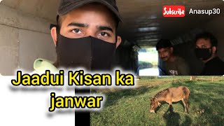 jaadui janwar vlog 5 anasup30 [upl. by Flannery]