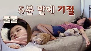 낮잠 타임 바쁜 민박집 일에 효리amp아이유는 기절zzz 효리네 민박 4회 [upl. by Gilson]