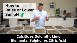 How to Change Your Soil pH  Calcitic Lime vs Dolomitic Lime Elemental Sulfur vs Citric Acid [upl. by Eilis]