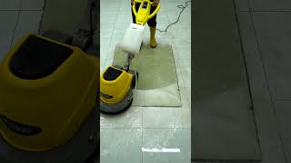 Like New Again Carpet Cleaning Magic [upl. by Zaragoza46]