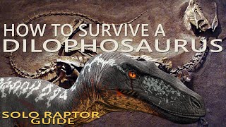 How to Survive a Dilophosaurus as a Solo Raptor [upl. by Nosral274]