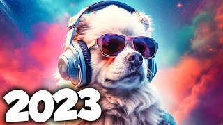 DANCE ELETRONICA TOP HITS 2023 🔥 AS MELHORES MÚSICAS ELETRÔNICAS  Alok Tiesto amp David Guetta Mix [upl. by Ydnew]