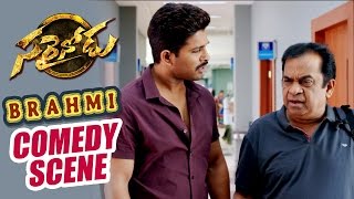 Home Theatre Comedy scene  Sarrainodu  Allu Arjun Rakul Preet Catherine Tresa [upl. by Shayne]