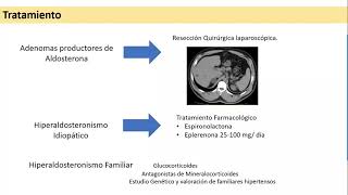 HIPERALDOSTERONISMO HIPOALDOSTERONISMO [upl. by Etiuqal]